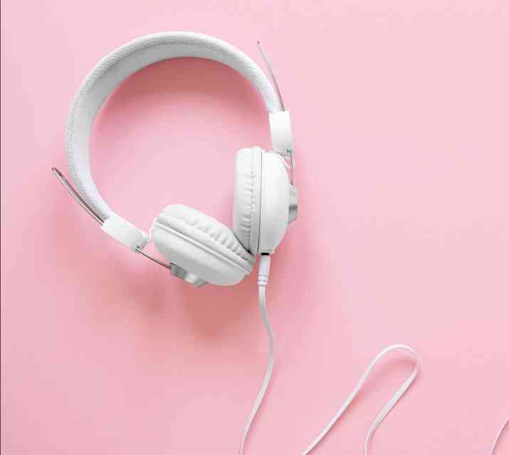 BRIANXA COMERCIAL - Auriculares con cable modelo ECO - image